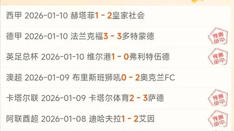 孙雯谈中国足球：期待凤凰展翅翱翔